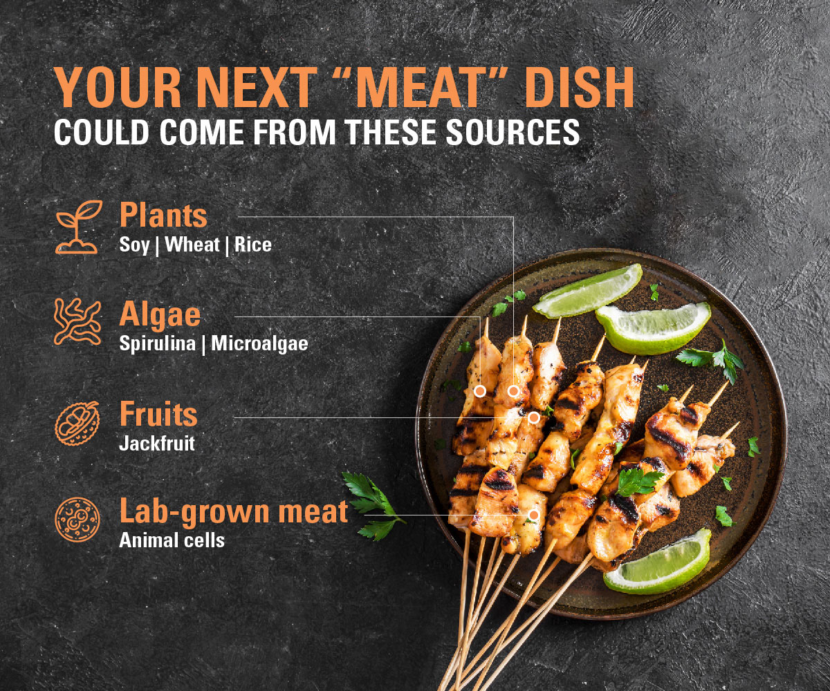 Your next 'meat' dish could come from these sources